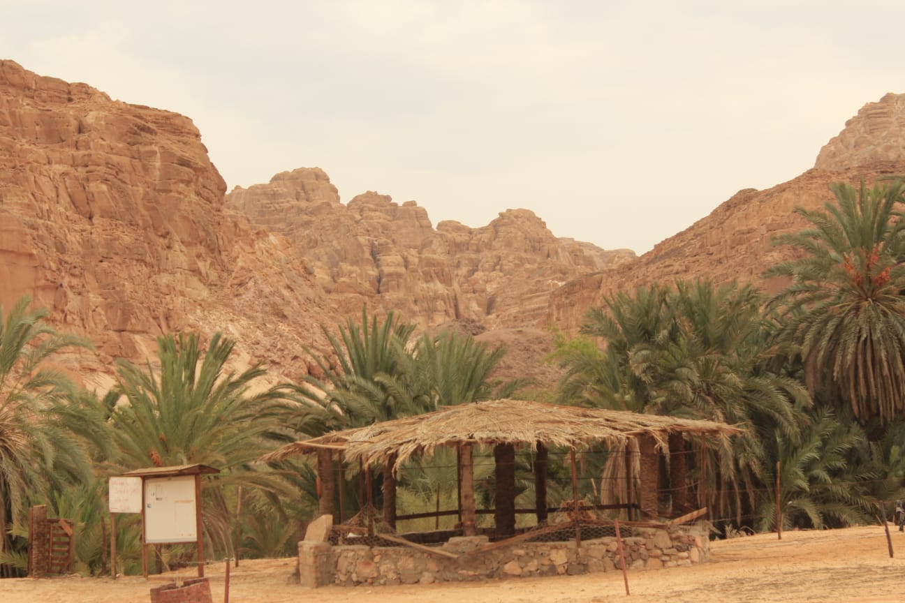 Ain Hodra