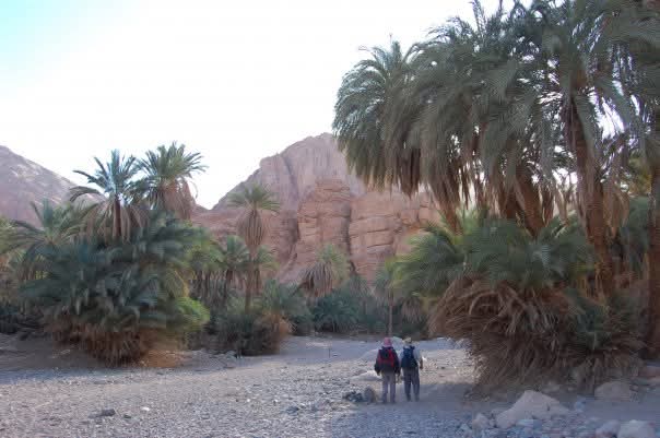 Wadi El-Kid