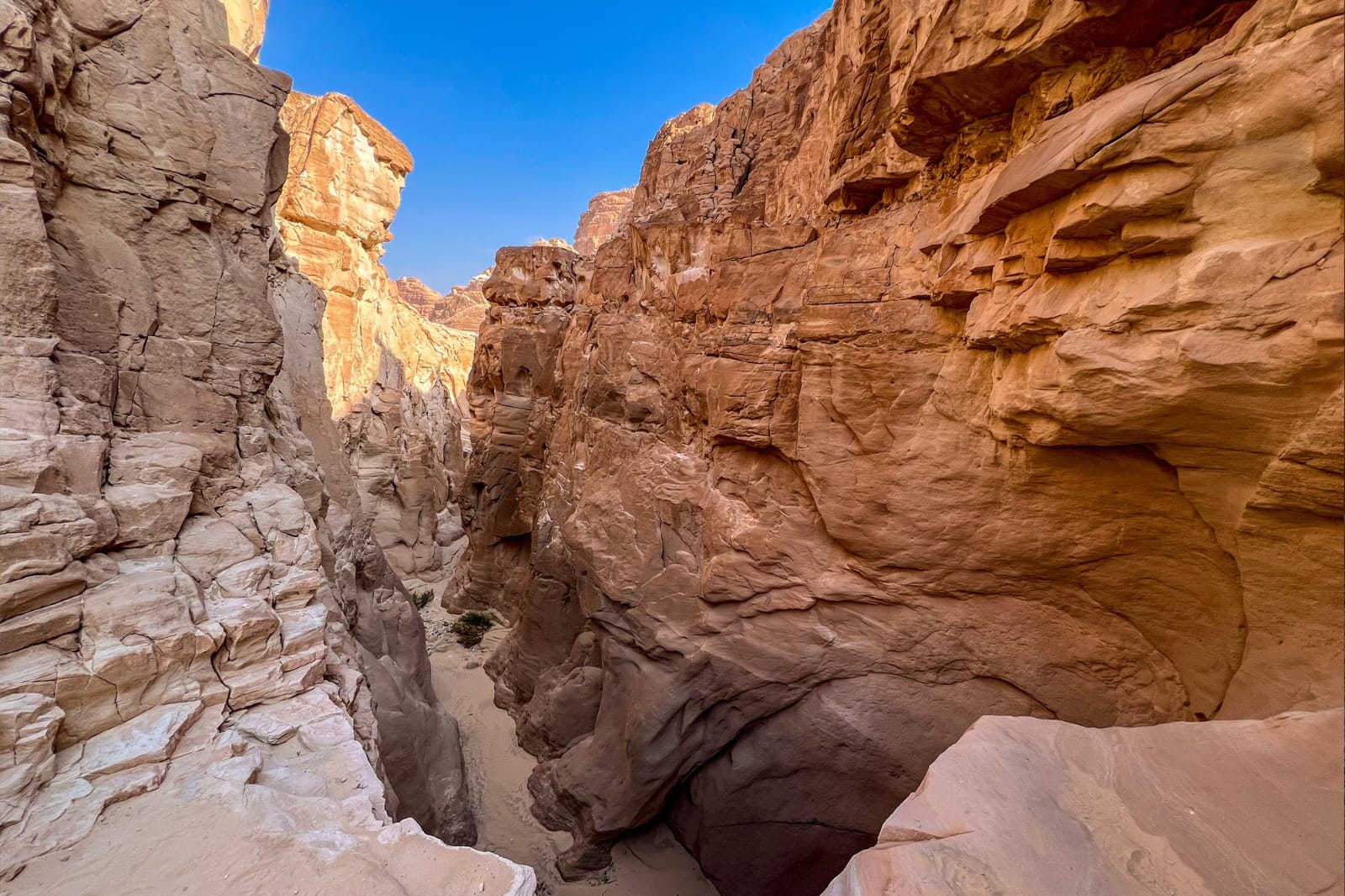 White Canyon